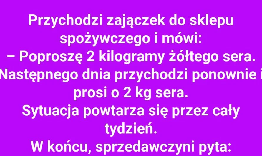 Jezioro pełne sera