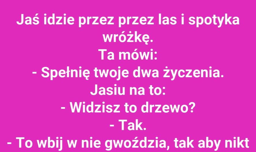 Wróżka spełnia życzenia Jasia