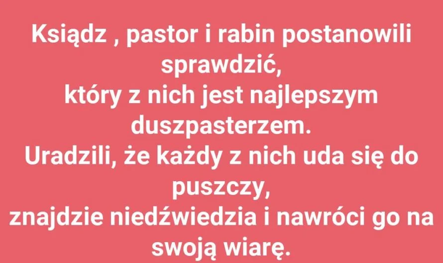 Jak nie nawracać niedźwiedzi