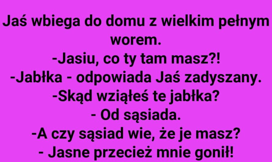 Sąsiedzki pościg